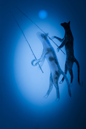 two cats on a night fishingの写真素材