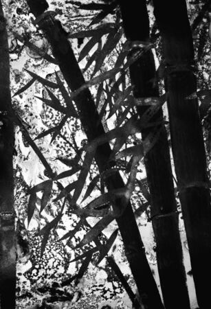 dark and abstract bamboo forestの写真素材