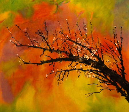 cherry branch on a bright abstract backgroundの写真素材