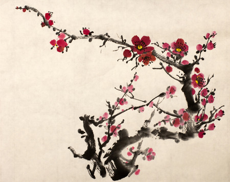 Beautiful blooming branch of plumの写真素材