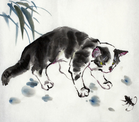 little fluffy kitten and a bugの写真素材