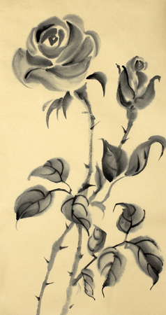 monochrome drawing of a rose on a beige backgroundの写真素材