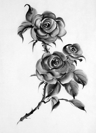 monochrome flower drawing roses on a white backgroundの写真素材