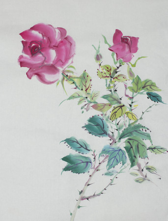 drawing of rose bush on white backgroundの写真素材