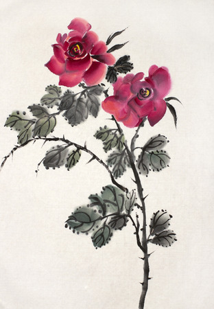 tender pink roses on a white backgroundの写真素材