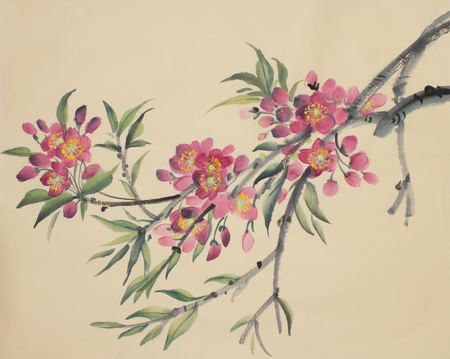 blooming peach branch on a beige backgroundの写真素材