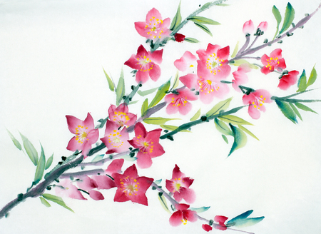 flowering peach branch painted in Chinese styleの写真素材