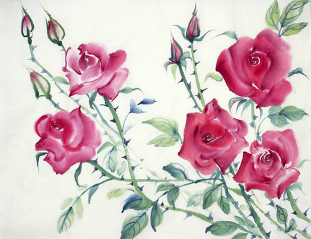 flowering rose bush painted in Chinese styleの写真素材