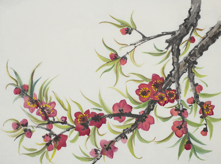 flowering peach branch painted in Chinese styleの写真素材