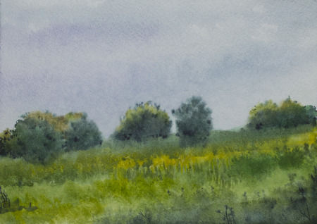 summer landscape with field grass and treesの写真素材