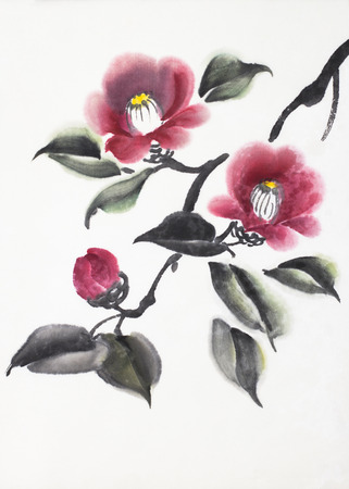 red camellia flower on a white backgroundの写真素材
