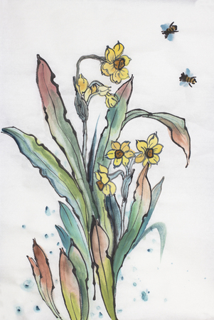 Narcissus flowers and bees on a light backgroundの写真素材