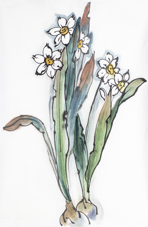 bright daffodil flower on a light backgroundの写真素材
