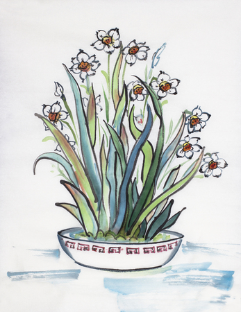 Narcissus flowers in a pot on a light backgroundの写真素材