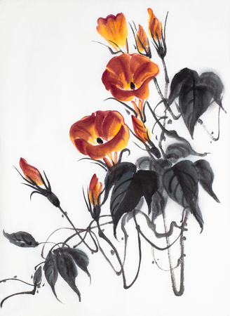 orange flower of morning glory on a light backgroundの写真素材