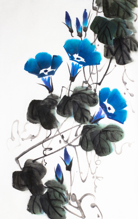 blue morning glory flower on a light backgroundの写真素材