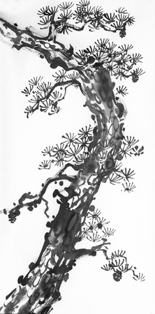 Pine tree on a light background painted in Chinese styleの写真素材