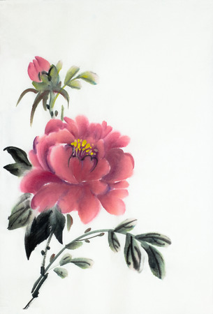 red peony flower on a light backgroundの写真素材