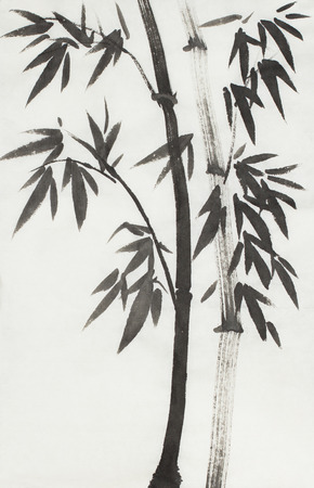 monochrome bamboo tree on a light backgroundの写真素材