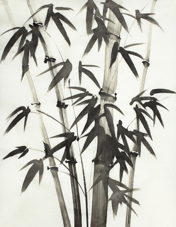 monochrome bamboo trees on a light backgroundの写真素材