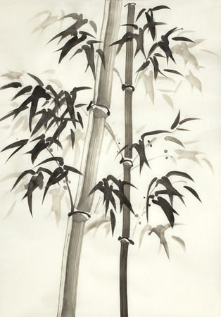 bamboos in the fog on a light backgroundの写真素材