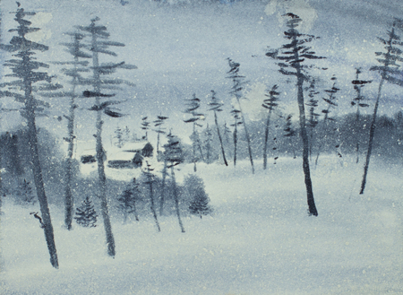 snow in the forest on the Christmas nightの写真素材