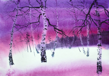 bright lilac sunset in the winter forestの写真素材
