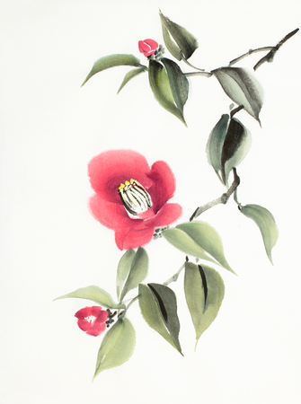 Camellia Petalsの写真 イラスト素材一覧 5 306件 ストックフォトのamanaimages Plus