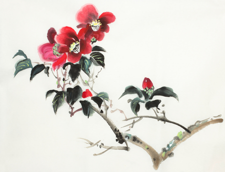 red camellia flower on a light backgroundの写真素材
