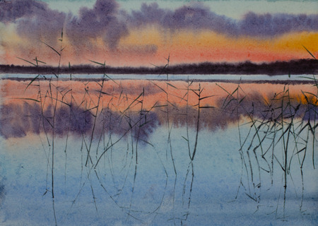 bright sunset lake and reedsの写真素材