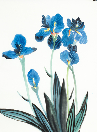 blue iris flowers on a light backgroundの写真素材