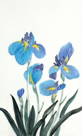 blue iris flowers on a light backgroundの写真素材