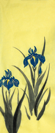 blue iris flowers on a yellow backgroundの写真素材