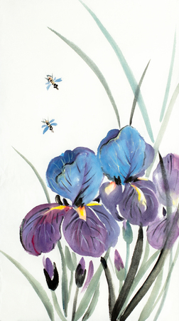 lilac blue flowers irises on a light backgroundの写真素材