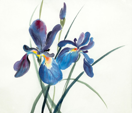 lilac blue flowers irises on a light backgroundの写真素材