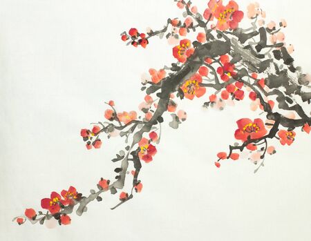 flowering plum branch on a light backgroundの写真素材