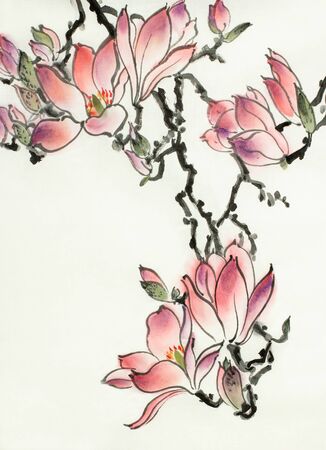 Delicate magnolia flower on whiteの写真素材