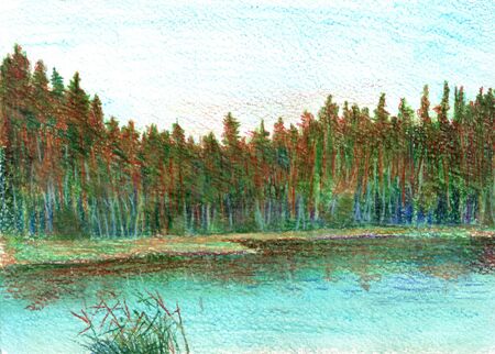 pine trees and sunset on a forest lakeの写真素材