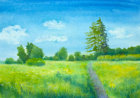 path through a sunny fieldの写真素材