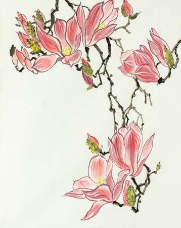pink magnolia flower on light backgroundの写真素材