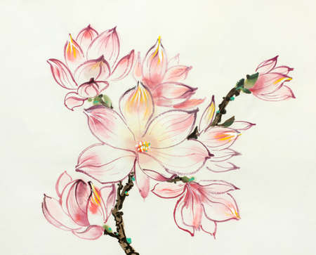 pink magnolia flower on light backgroundの写真素材