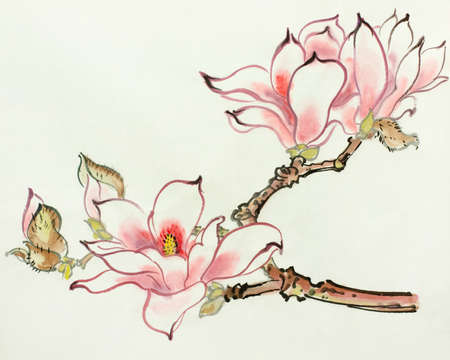 pink magnolia flower on light backgroundの写真素材