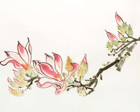 pink magnolia flower on light backgroundの写真素材