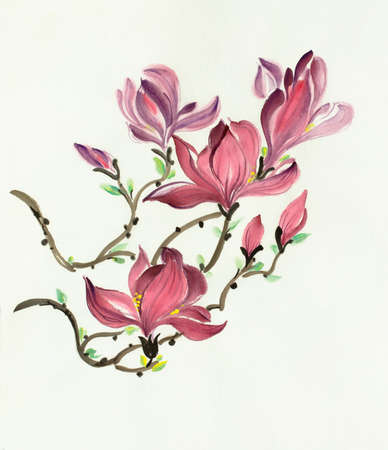 pink magnolia flower on light backgroundの写真素材