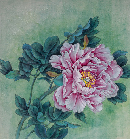 delicate pink peony on a green backgroundの写真素材