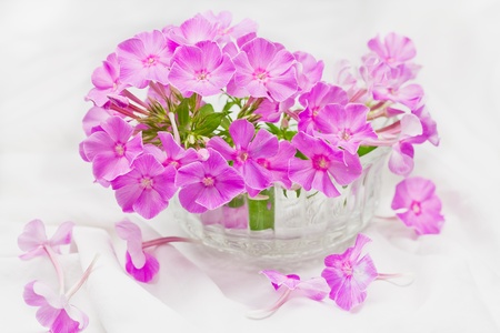 Bouquet of pink flowers in a vase.の写真素材
