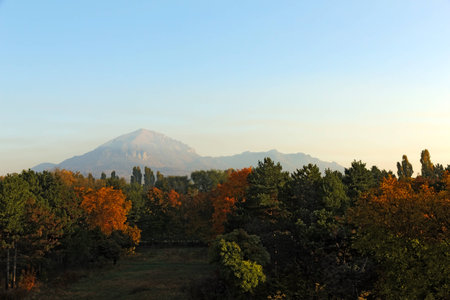 Autumn forest with orange with leaves and mountain Beshtau.の写真素材
