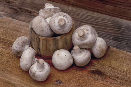 Mushrooms are healthy food Vegetarianismの写真素材