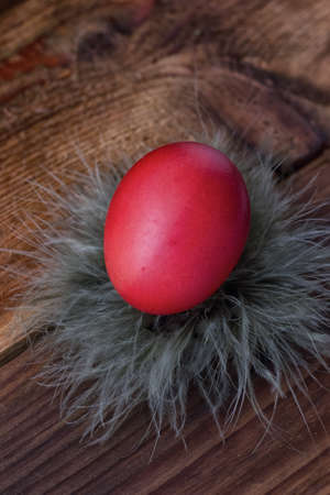 Painted eggs to the holiday.の写真素材
