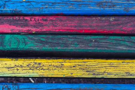 Texture is a treeの写真素材